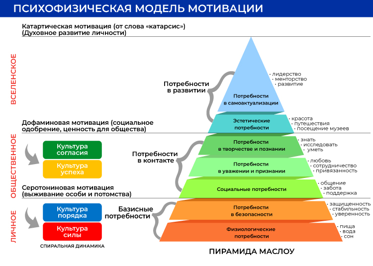 Психофизическая модель мотиации