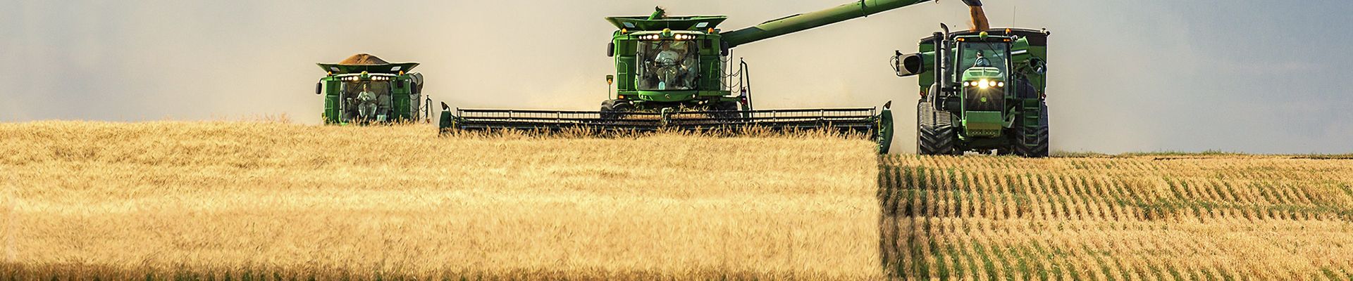 Международная агропромышленная выставка «Агроволга-2022» | Обзоры ...